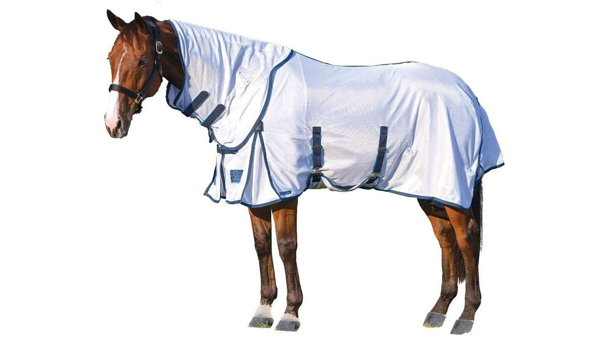 Best fly rugs for horses Six options for your horse PetsRadar