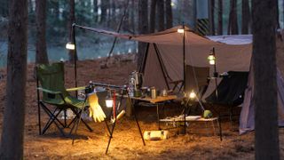 Tent By Trees On Field At Night