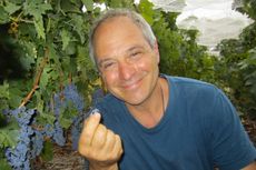 Cloudburst Cabernet Sauvignon, Will Berliner