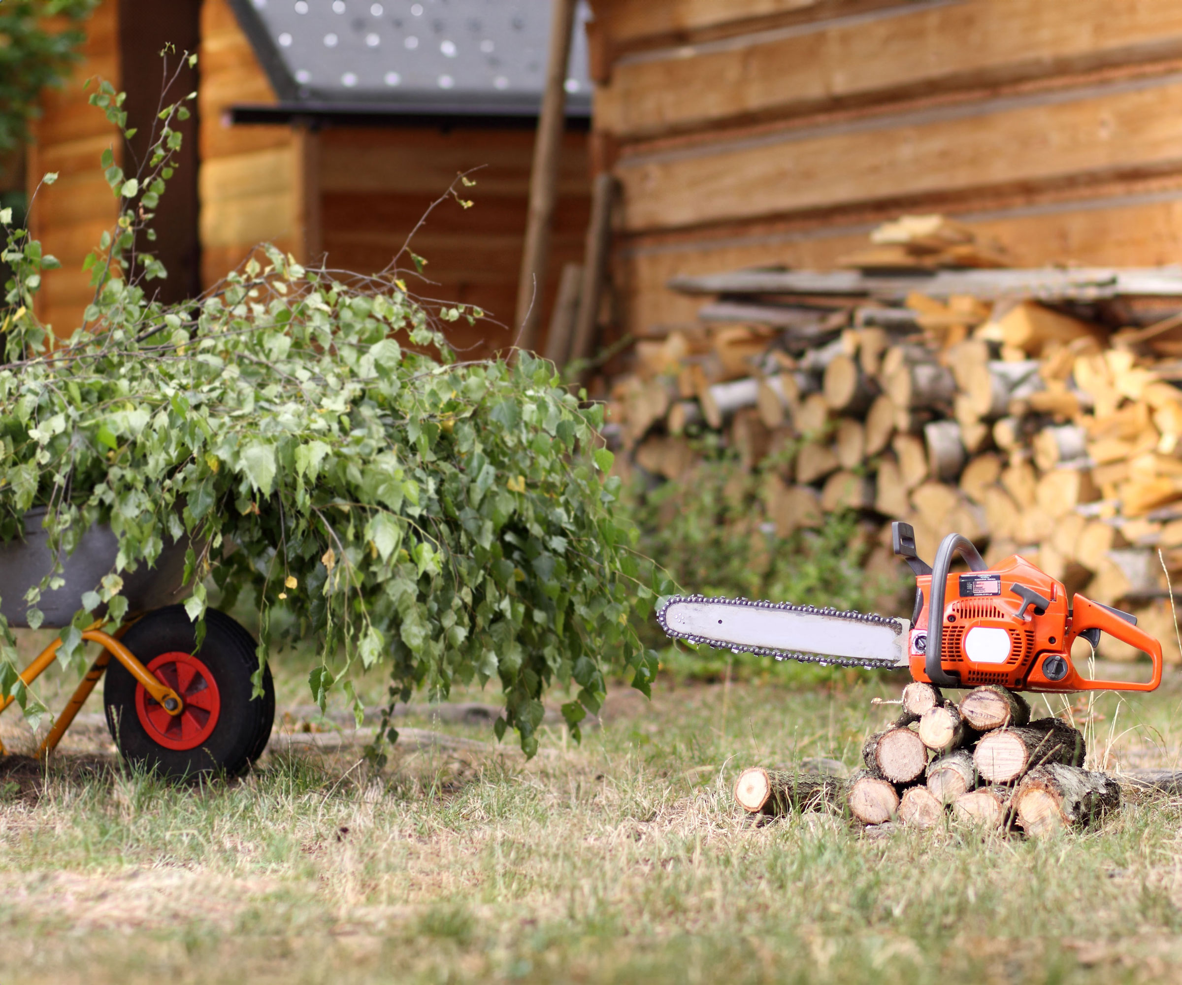 chainsaw on logs next to wheelbarrow full of tree clippings outside wooden hut