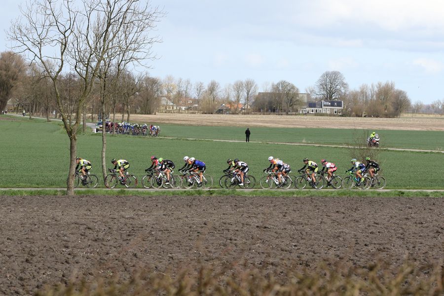 The peloton in tatters