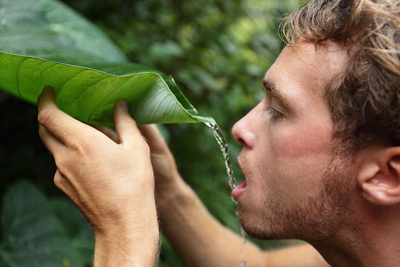 A man drinks water that he pours off the top of a leaf.