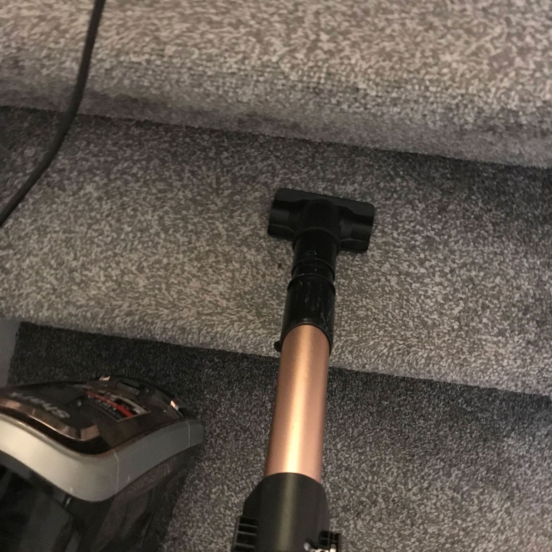 Model Hiu yang lebih tua