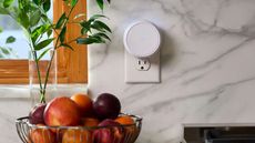 White Pura smart home diffuser plugged into a white marble wall with wood-framed window, glass vase with greenery, and a silver fruit bowl filled with fruit.