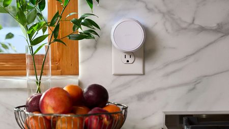 White Pura smart home diffuser plugged into a white marble wall with wood-framed window, glass vase with greenery, and a silver fruit bowl filled with fruit.