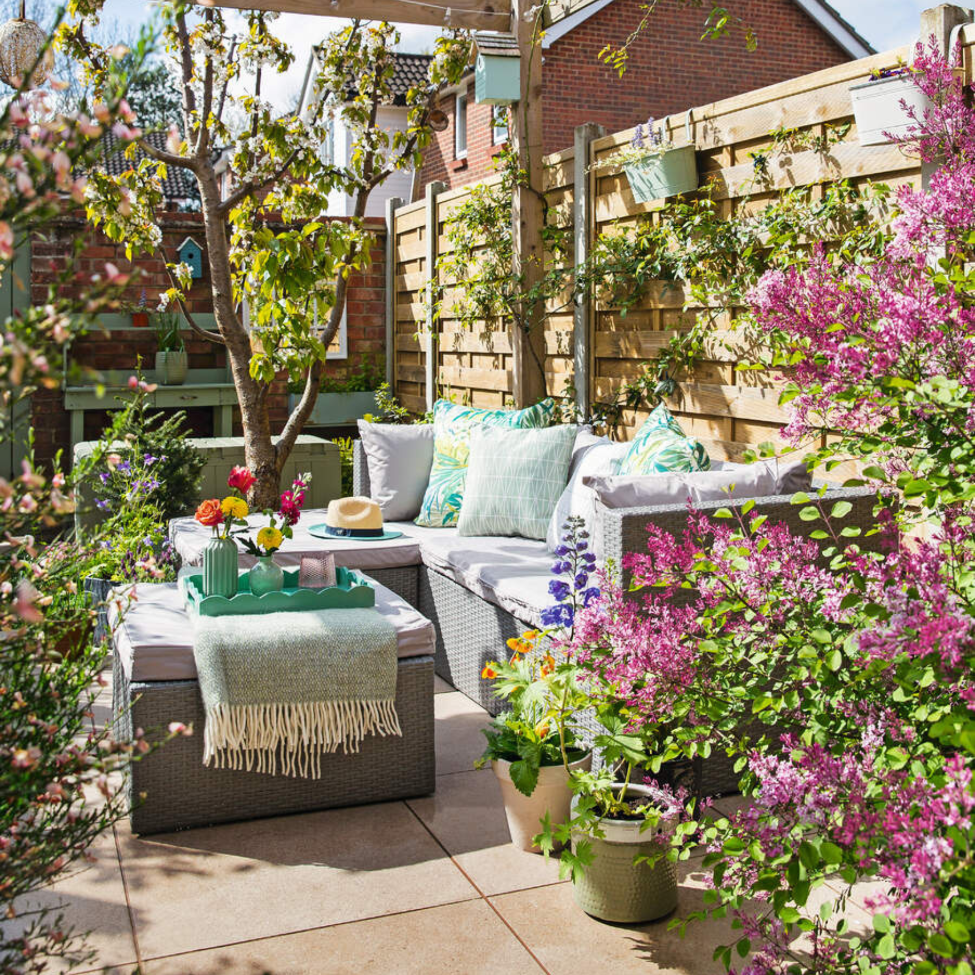 Garden furniture in courtyard with pink climbing flowers and plants in pots.
