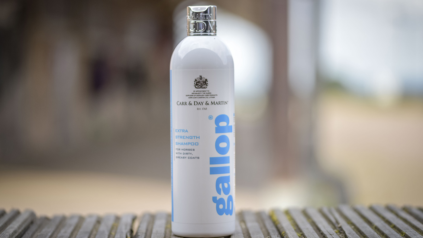 Carr &amp;amp; Day &amp;amp; Martin Gallop shampoo