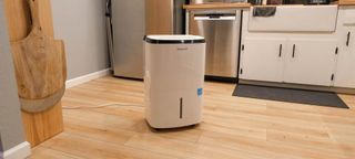 Honeywell 50-Pint Energy Star Portable Dehumidifier in kitchen