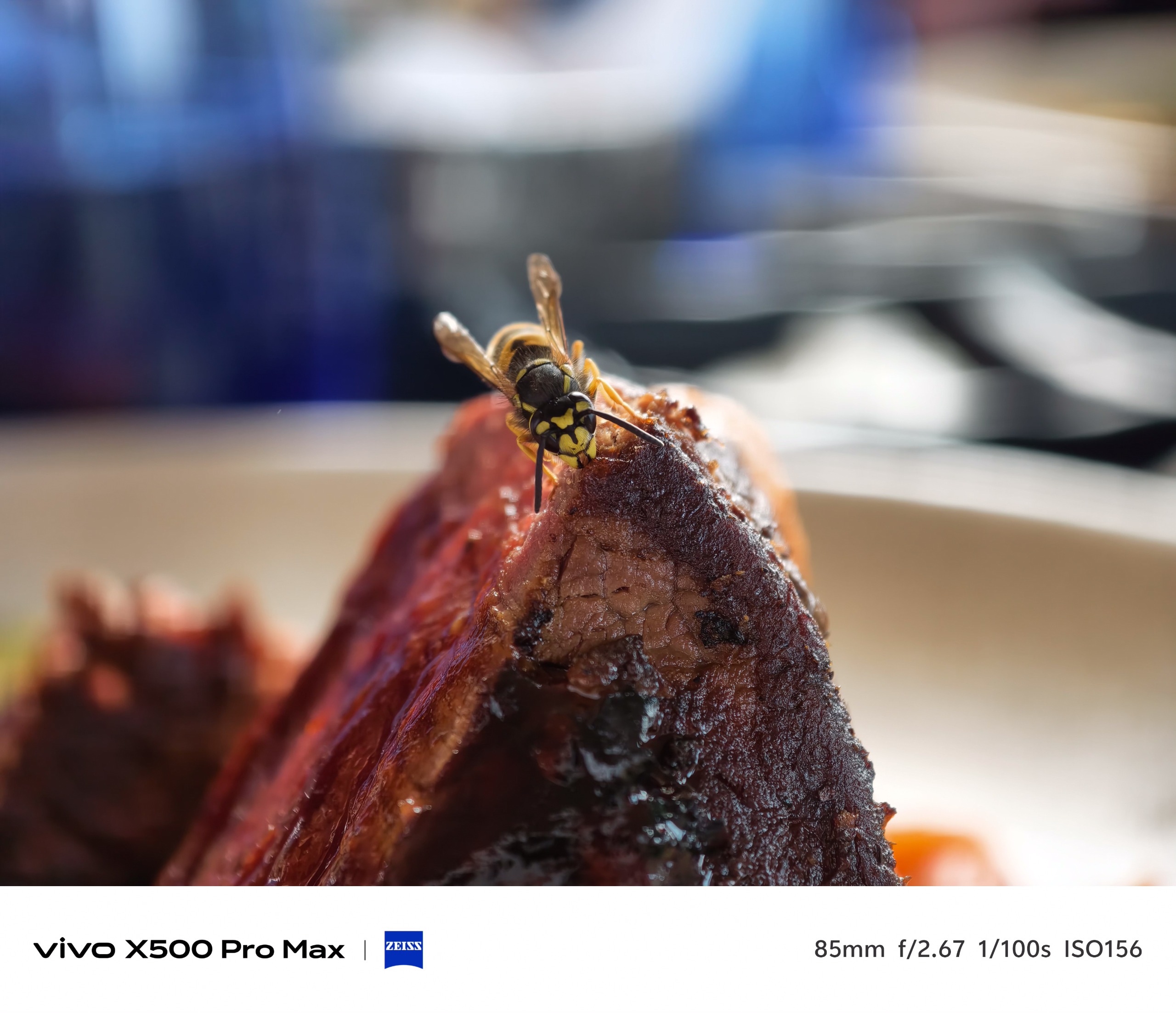 Close-up of a yellow-and-black wasp perched on the edge of a cooked steak.