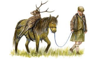 Native horse breeds of Britain