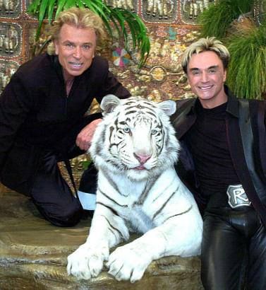 The white tiger that famously bit Siegfried &amp; Roy's Roy Horn is dead