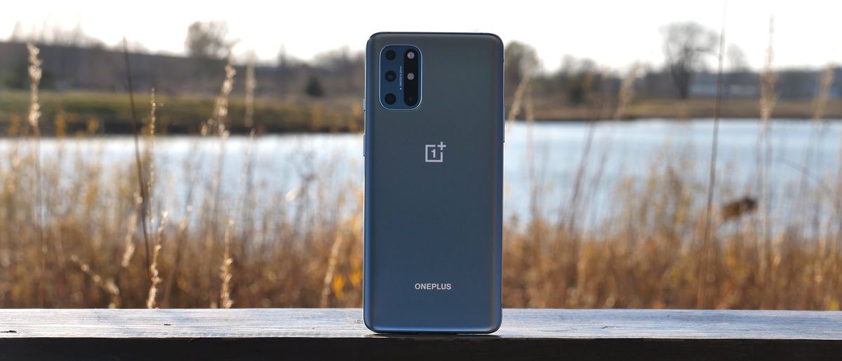 OnePlus 8T with a pond in the background