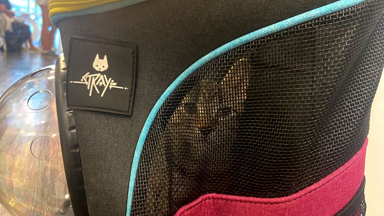 Stray Cat Cafe