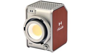 Hobolite Avant LED continuous light