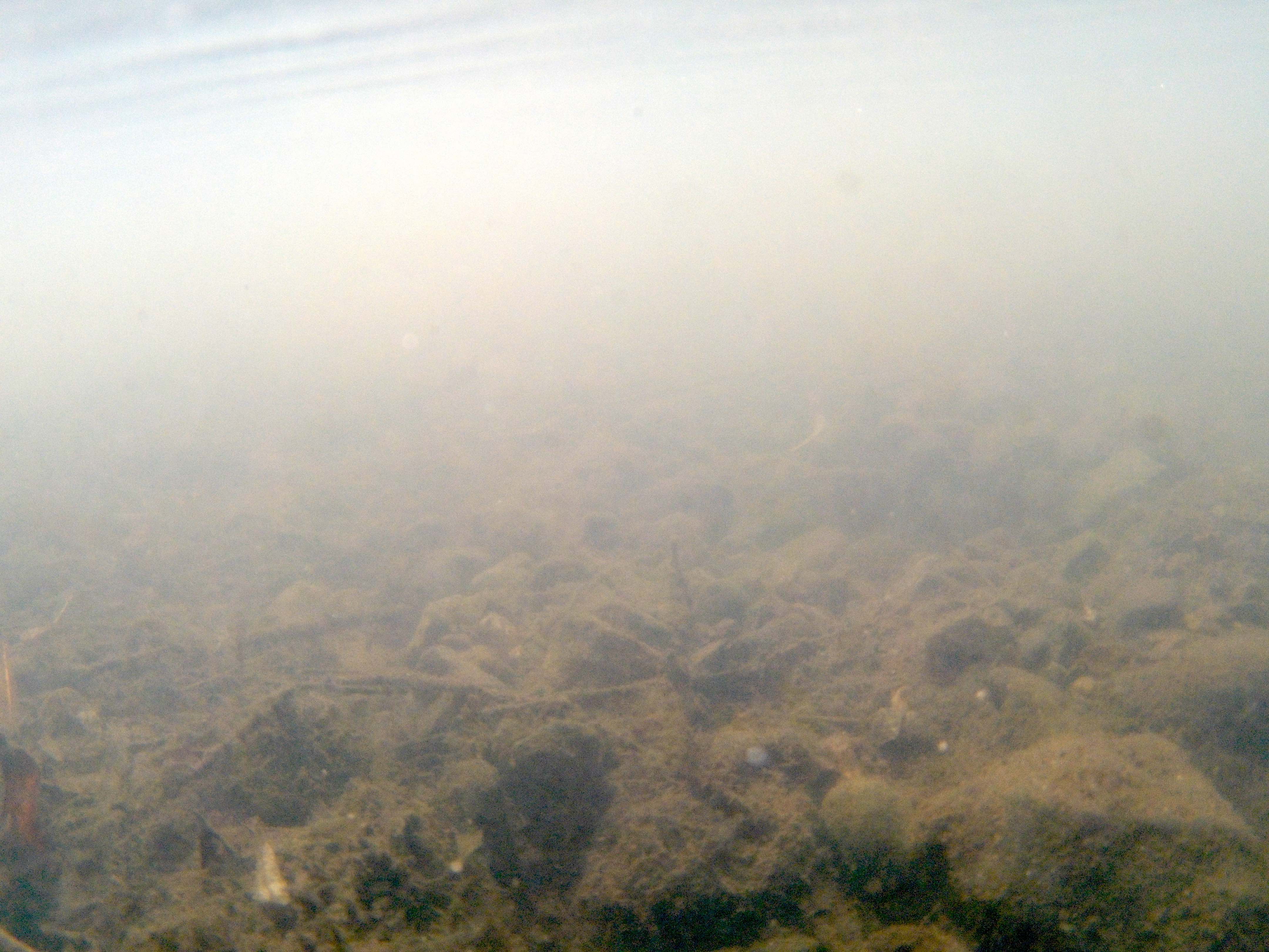 Murky underwater photo taken with the SeaLife ReefMaster RM-4K