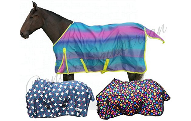 Summer Rain Turnout Rug