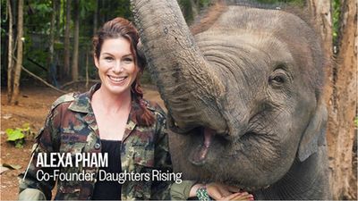 Elephant, Elephants and Mammoths, Skin, Organism, Mammal, Facial expression, Indian elephant, Terrestrial animal, Jaw, Adaptation,