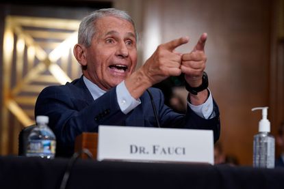 Dr. Fauci.
