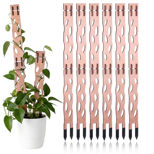 Otoolling 6 Pcs Extendable Plant Wood Trellis Kit Plant Trellis Indoor Modular Support With Extension Parts and Clips for Potted Plants Climbing Houseplant Easy Assembly Moss Pole Alternative