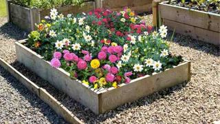 Image of raised flower beds