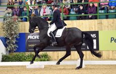 Mollie-and-Michael-1.jpg