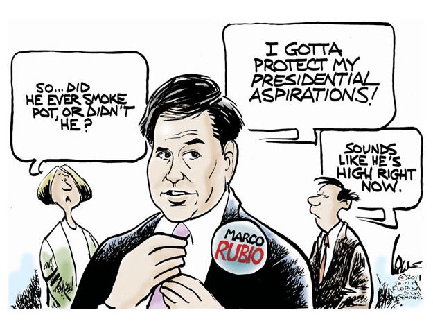 Political cartoon Rubio marijuana election