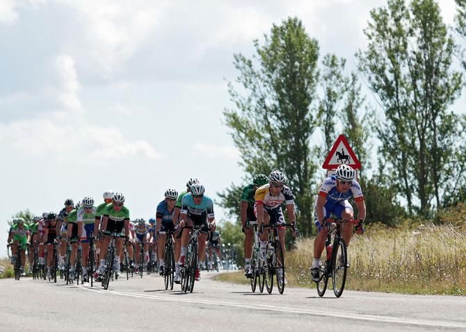 The peloton