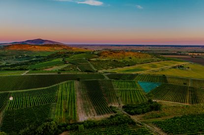 Tokaj-wine-district.jpg