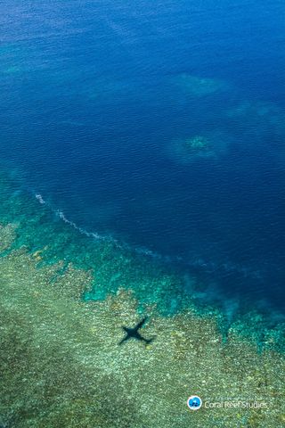 Bleached corals are visible from the air near Cairns and Townsville in North Queensland.