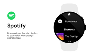 Spotify offline playback feature