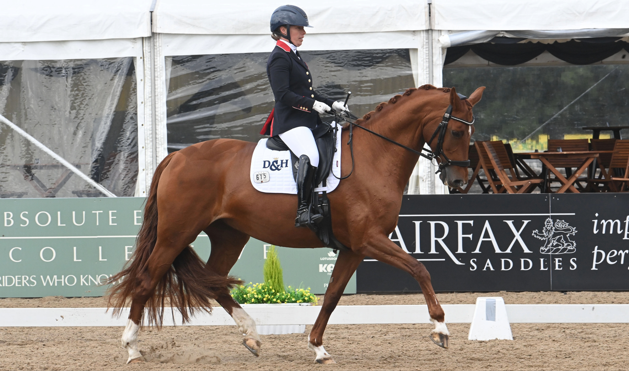 Sophie Wells in her British team navy jacket with red trim riding a trot across the diagonal on her chestnut horse MSJ Gold Standard