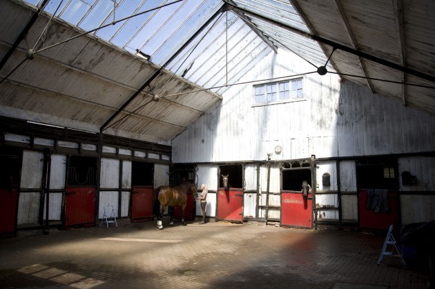 5-Inside-the-barn-e1443443321944.jpg