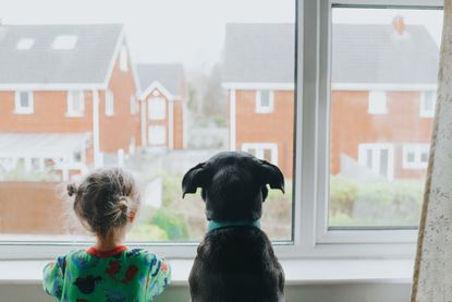 A Young girl and a black dog looking out a window onto houses