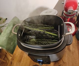 Steaming cavolo nero in the Ninja Foodi PossibleCooker Pro