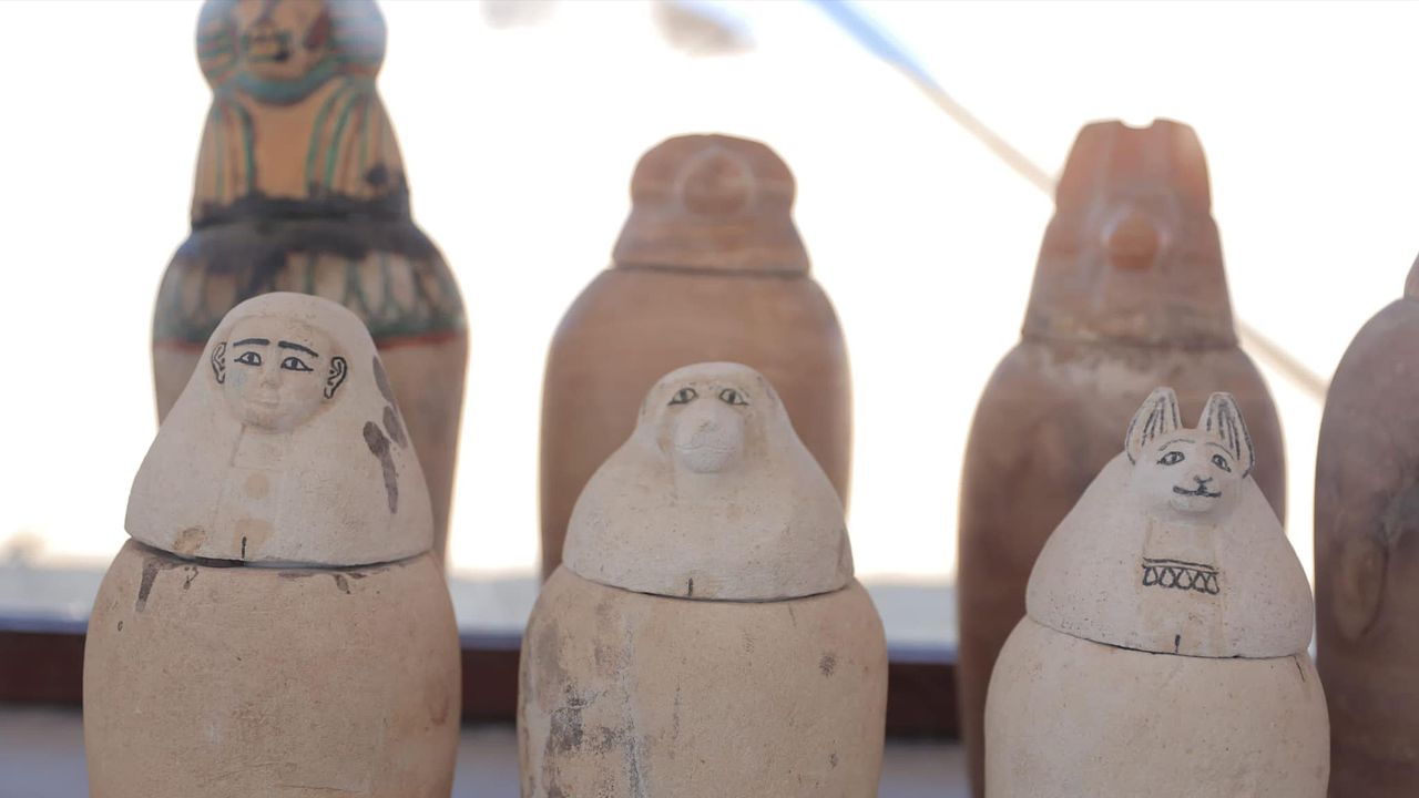 These canopic jars held organs of the deceased.