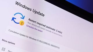 Windows 11 update in Settings app