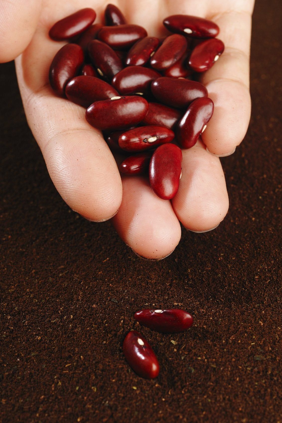 A Handful Of Kidney Beans