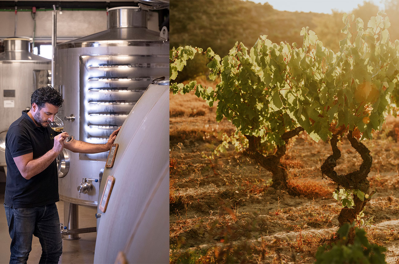 Cement eggs, old vines and the winemaker at Bodegas Izadi.