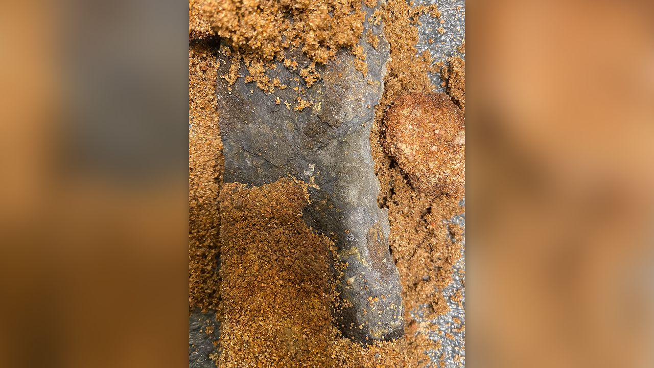 Archaeologists note that the iron sword was inlaid with another metal to form small Christian crosses; one can be seen near the center of this photograph.