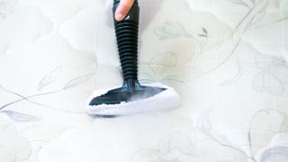 Person steam cleaning a white mattress with a floral pattern to get rid of bed bug residue