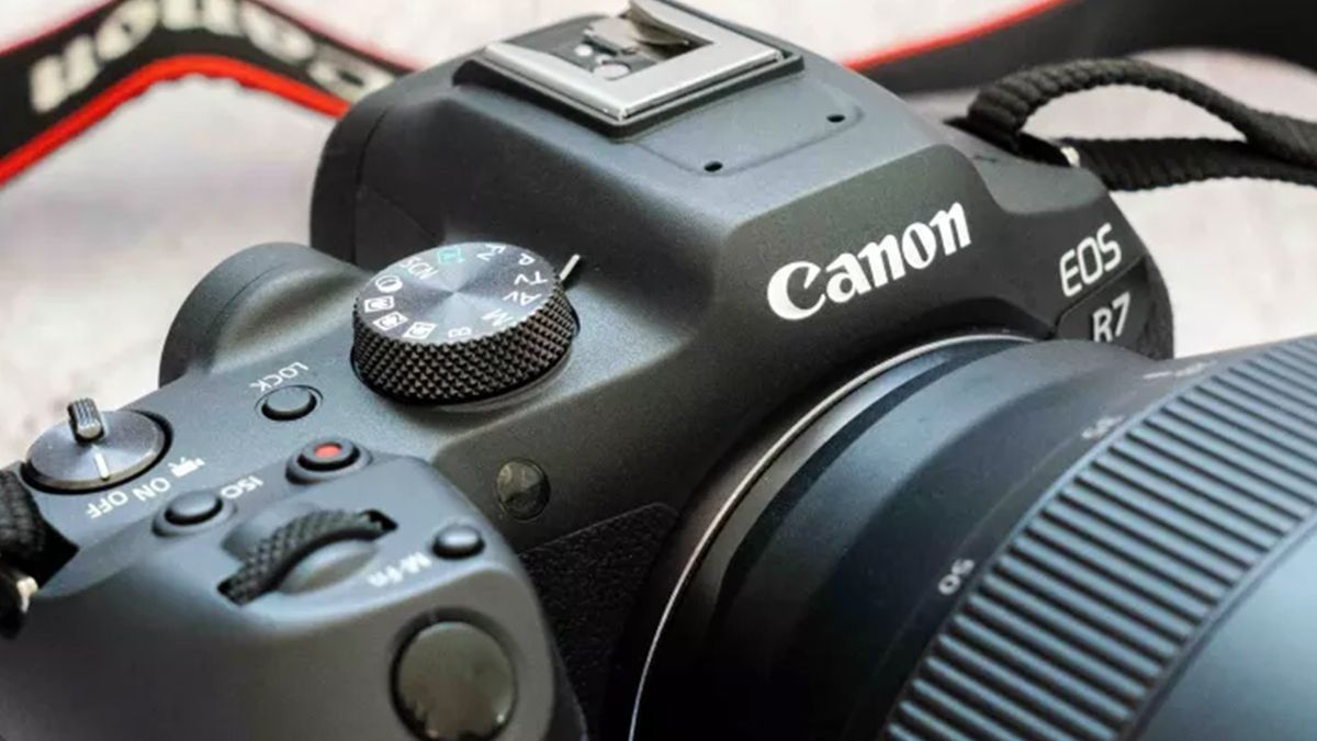 Zdjęcie z recenzji Canona EOS R7