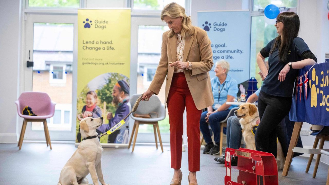 Duchess Sophie&#039;s oversized blazer was the perfect summer cover-up as she attende a very adorable event with some furry friends