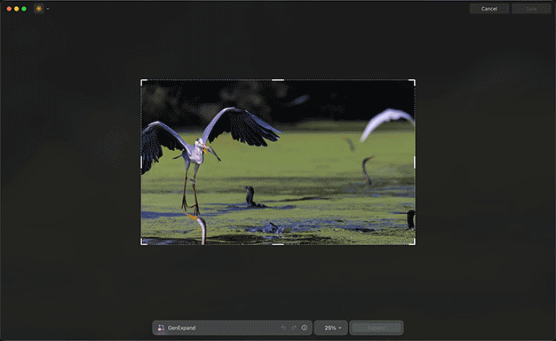 AI editing tools in Luminar Neo