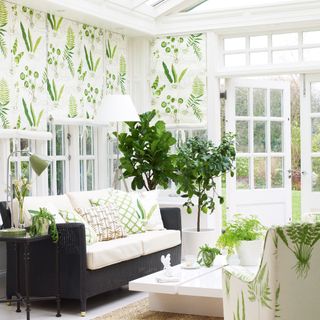 conservatory with white coloured potted plant