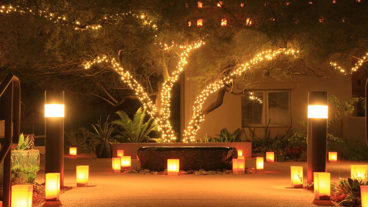 garden lit up with lighting in trees and around patio