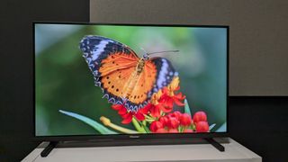 Hisense 32A5K with butterfly on screen