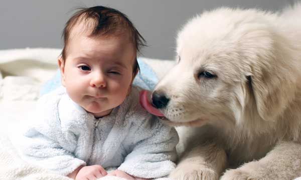 Having A Dog May Help AllergyProne Infants Live Science