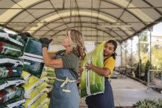 Women working together in a greenhouse nursery handling plant bags.