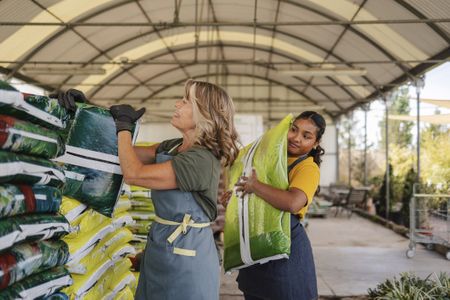 Women working together in a greenhouse nursery handling plant bags.