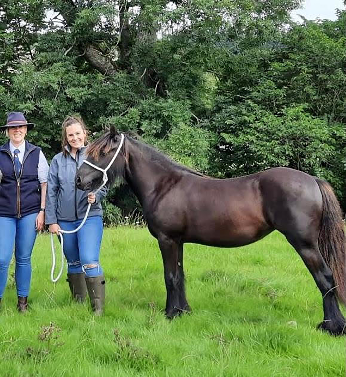 Casterfell Galway Girl